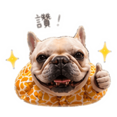 阿寶愛睡覺