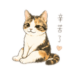 Curry the arrogant cat