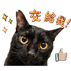 吉吉的超有梗對話表情包