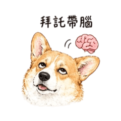 柯基morning厭世版