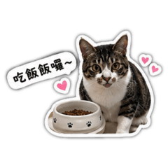 Nunu＿日常版
