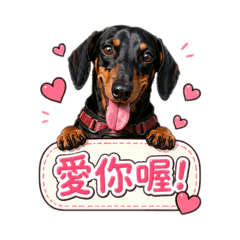 我是錢money