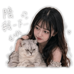 小貓與我