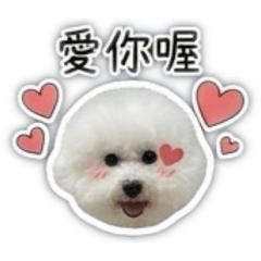 吃貨小狗2