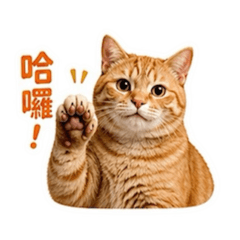 貓貓特工大集合