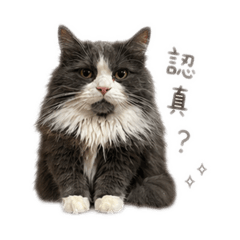 快一點啦