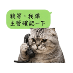 胖皇的牛馬生活（底層篇）