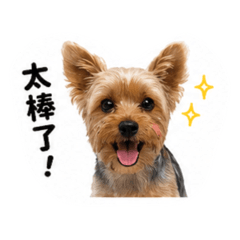 咘咘驚心