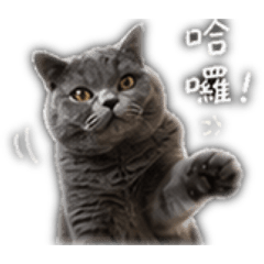 哆楽茶理麥的茶  Vol.01