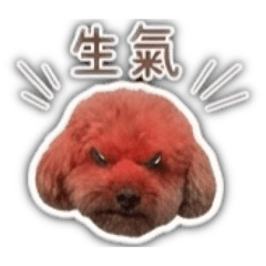 小狗99-大頭文字1
