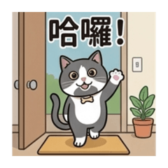 比較多的肥豬圓仔