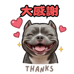 Bully Doggy