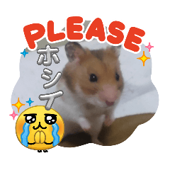 karen_20260504144630