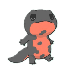 NakamuraAyame_20260504144641