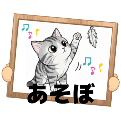 Blue Tabby Cat_20260504144701