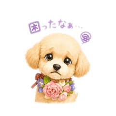 ko-ta_20260504145900