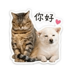 ㄚ咪ㄚ狗