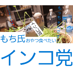 inko.inc._20260504211634