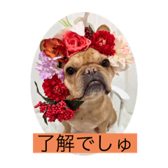 Ayu_20260504211435