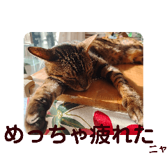 akiko_20260427173608