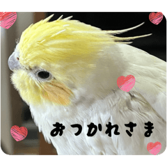 TOM_20260504212401