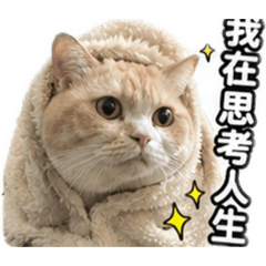 噗噗自己是隻貓