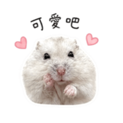 吳花生