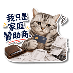 厭世爸爸美短貓：提款機罷工版
