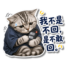 厭世研究生美短貓：論文難產版
