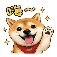 可愛又鬧的柴犬日常