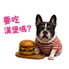 Bounce Back的可愛小豬