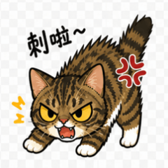 布丁大貓