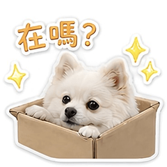 可愛ㄉMoka