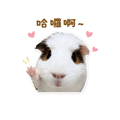 小愛同學5151叫第二彈