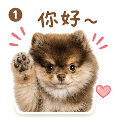 巧巧love
