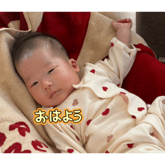 tomo_20260504151808