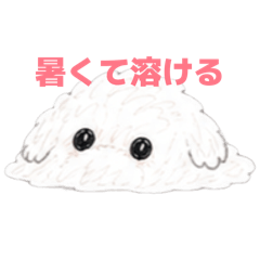 SEKI.