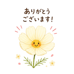 PUNA_20260504152950
