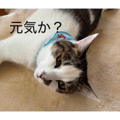 Ai touma_20260504152952