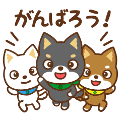 Shiba & Co. - Lifting Up Your Team!