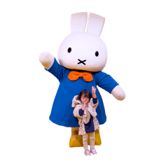 KAMEYA_20260504213640