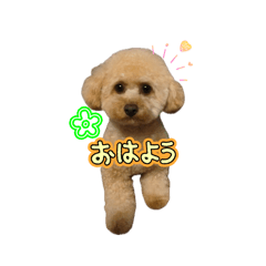 nakonako_20260504213732