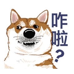 酸狗Meme