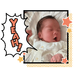 nabe_20260504153334