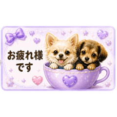 nicolon:_20260504215609