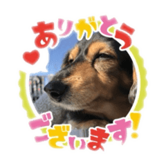 kaoru_20260504215529