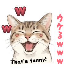 Tabby-and-White Cat Day_20260426161522