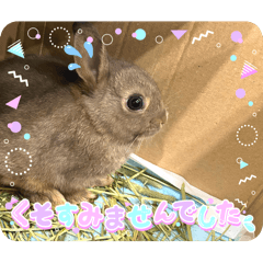creater NANA japan_20260504215515