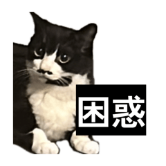 watashiseisonaonnanoko_20260504215835
