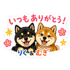 kanape_20260504215754